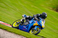 Lower Group Blue Bikes